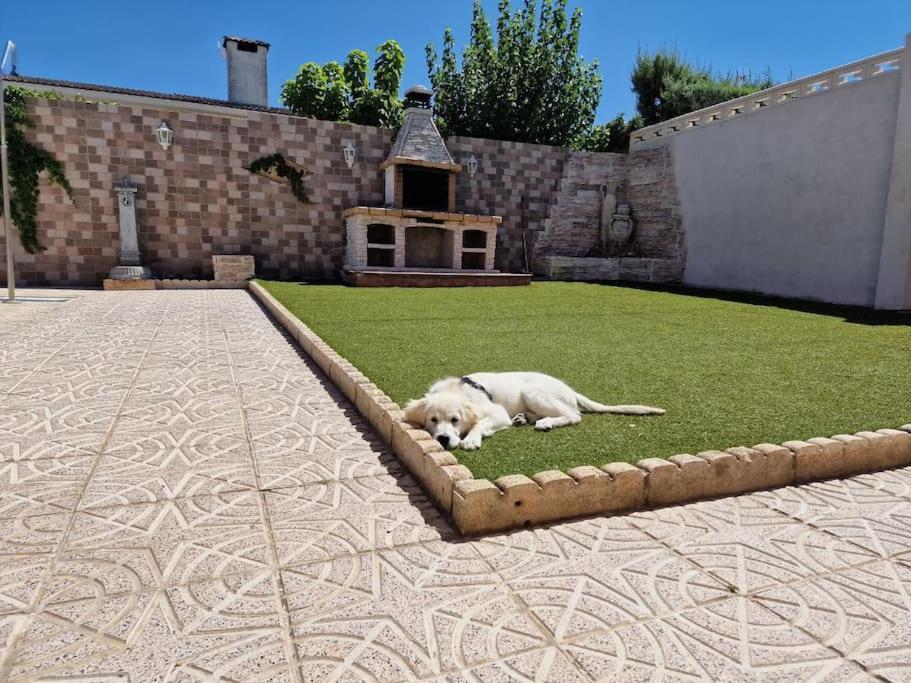 Primera Planta Completa, El Álamo Zewnętrze zdjęcie